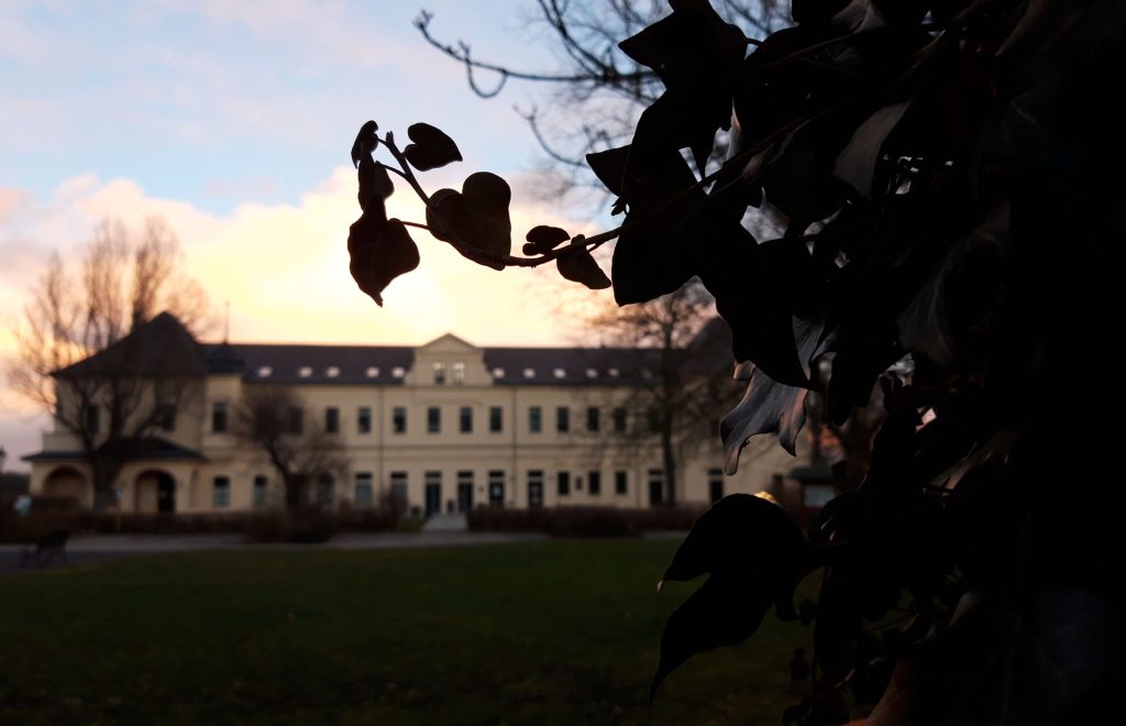 Herrenhaus Posterstein im Sonnenuntergang, vorn im Fokus eine Efeuranke