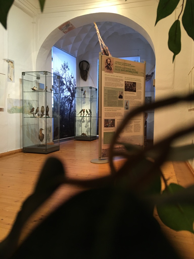 Ausstellung #Humboldt4 im Museum Burg Posterstein 2019