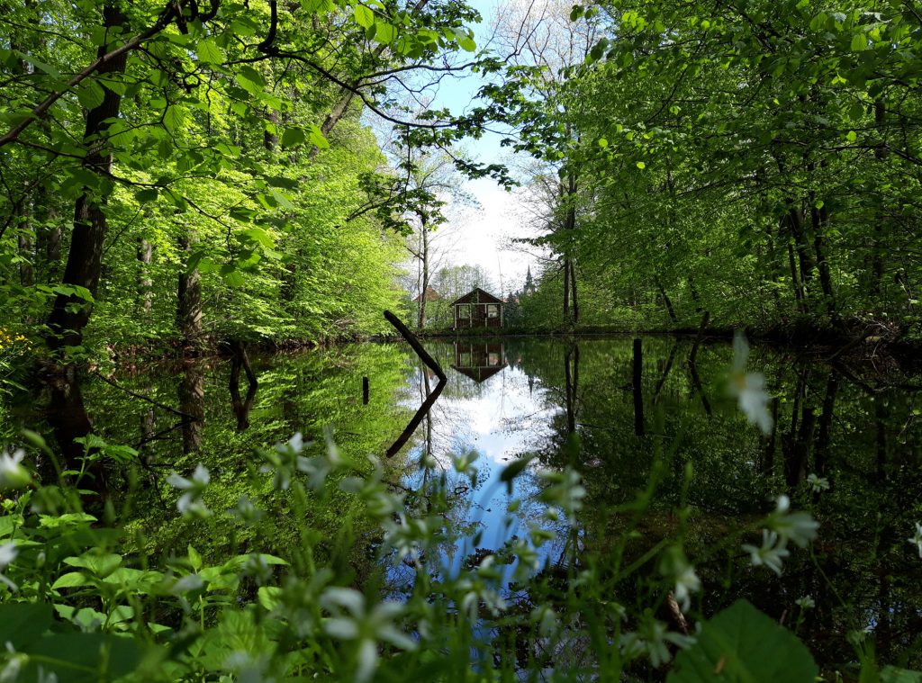 Teehaus am Teich Nöbdenitz - Sprotte-Erlebnispfad im Altenburger Land