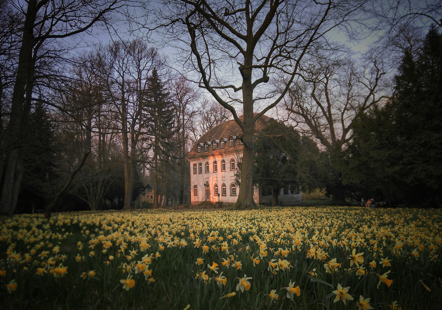 #GartenEinsichten: „Wie der Gärtner, so der Garten“ – Gartenkultur als Spiegel der Gesellschaft